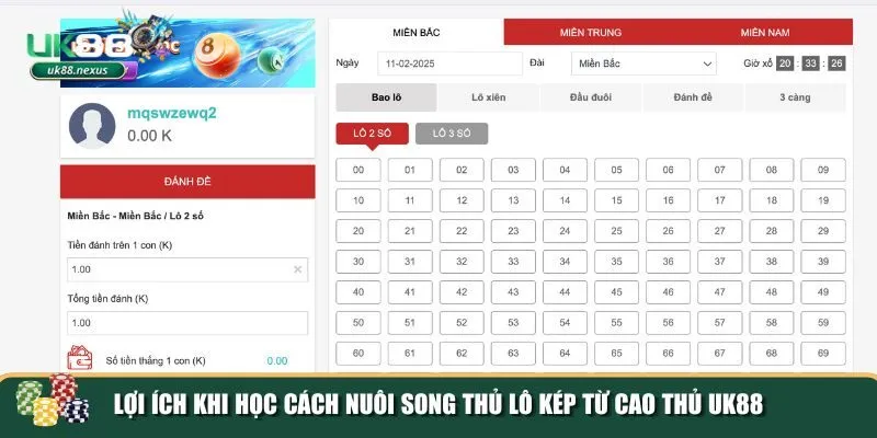1 meo nuoi song thu lo kep Tại sao nên học mẹo nuôi song thủ lô kép
