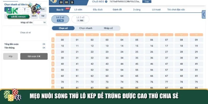 2 meo nuoi song thu lo kep Khám phá mẹo nuôi song thủ lô kép