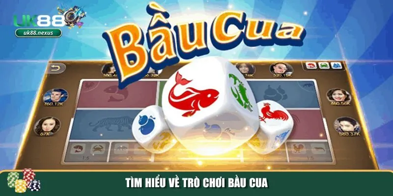 cach doan bau cua 1 1 Những thông tin cơ bản giúp bạn nắm rõ cách đoán bầu cua