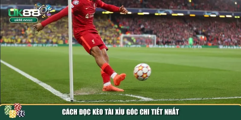 cach doc keo tai xiu goc 2 Nắm rõ cách đọc kèo tài xỉu góc và những yếu tố ảnh hưởng đến kết quả